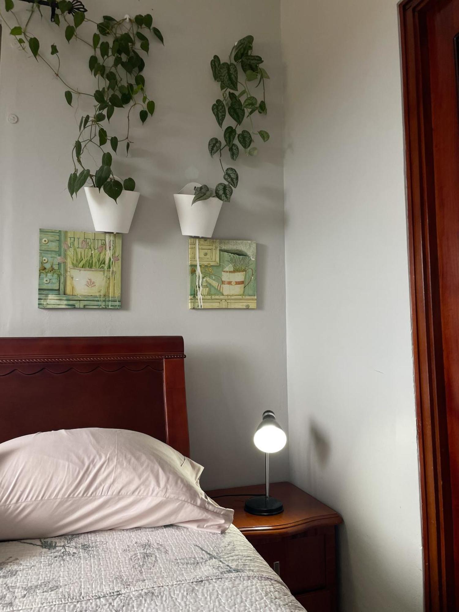 Hostel Kimmell / Hostal Familiar La Casita De Los Kimmell Las Tablas Cameră foto